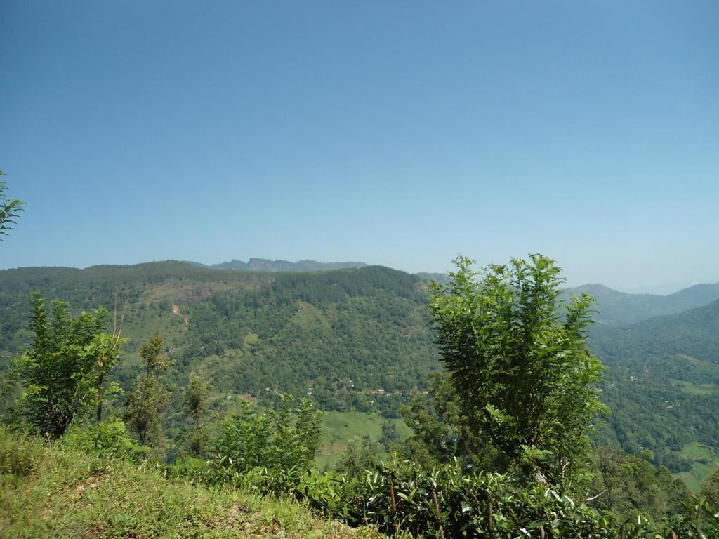 Mount River View Κάντι Εξωτερικό φωτογραφία